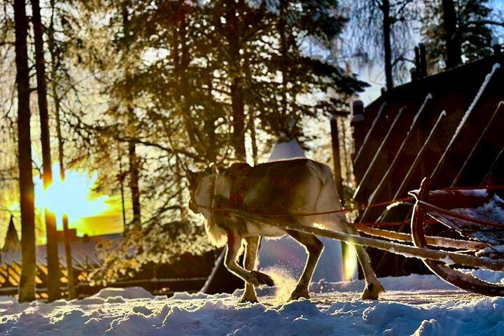 Santa Claus Village com Reindeer & Husky Ride