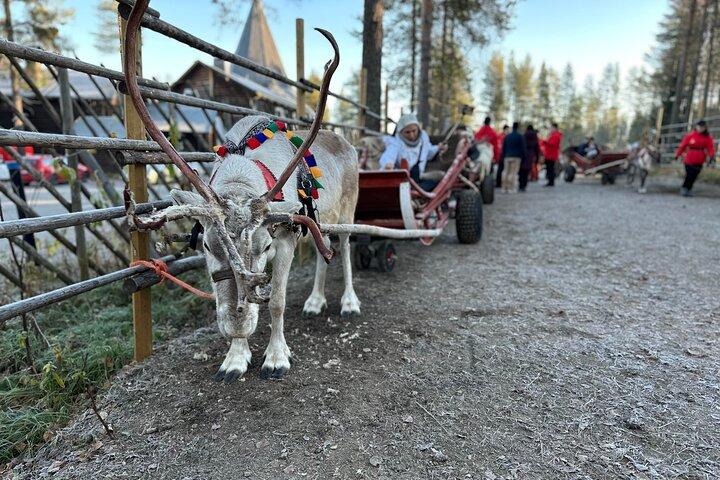 Santa Claus Village com Reindeer & Husky Ride