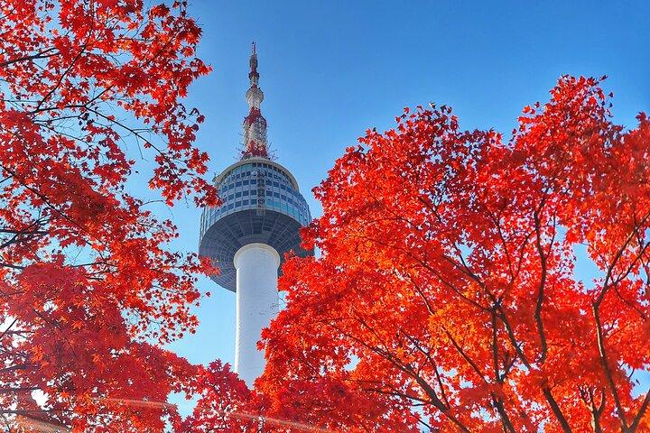 Seoul MegaPass: Top Attractions incl. Public Transport