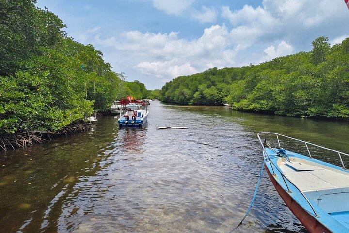 Da Lembongan: Snorkeling Day Trip a Nusa Lembongan e sull'isola di Nusa Penida