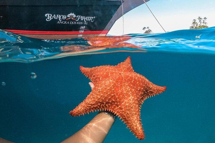 Excursión a Angra dos Reis e Ilha Grande desde Río con paseo en barco y almuerzo