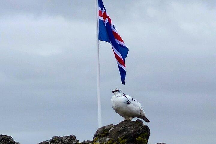 Reykjavík, Islandia : Golden Circle Express Minibús Grupo pequeño 6h