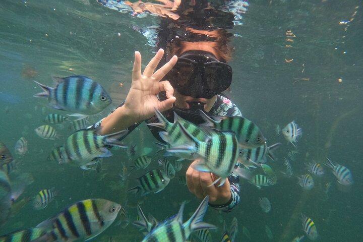 Bintan Fun Exprience Snorkeling e kayak