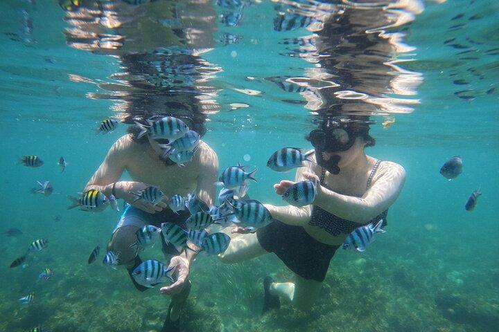 Bintan Fun Exprience Snorkeling e kayak