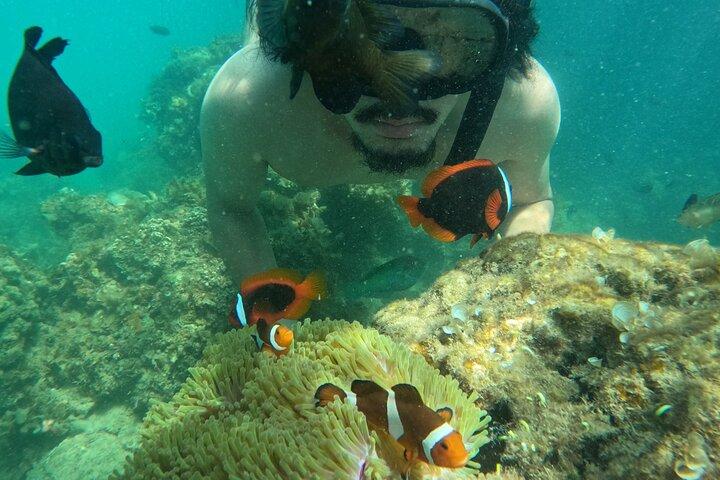 Bintan Fun Exprience Snorkeling e kayak
