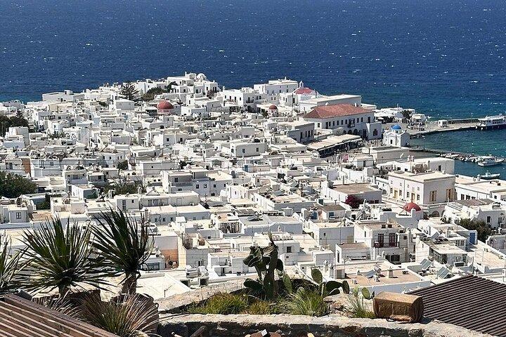 Mykonos Island Tour for rejsende