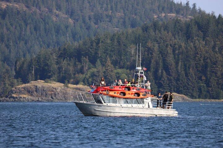 Campbell River: passeio de caiaque e observação de baleias