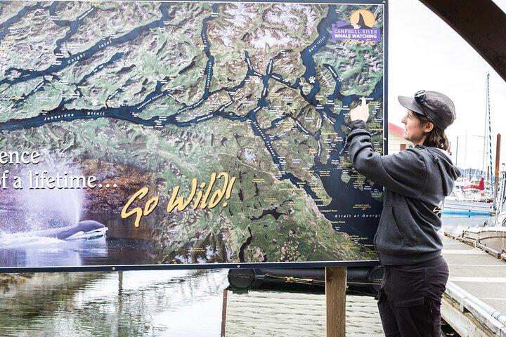 Campbell River : Bootstour durch Spring Bear und Wasserfälle