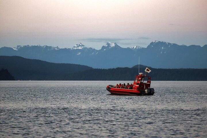 Zodiac Boat Whale and Wildlife 4 - Tour di un'ora dal fiume Campbell