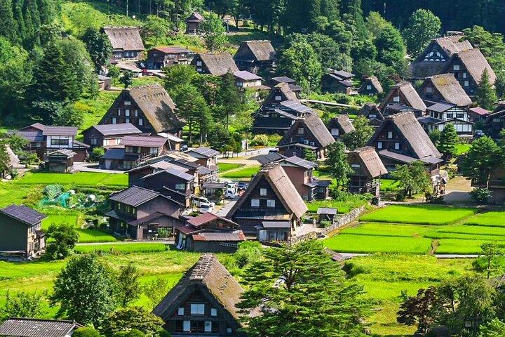 Tour privado de 7 dias em Tóquio, Japão