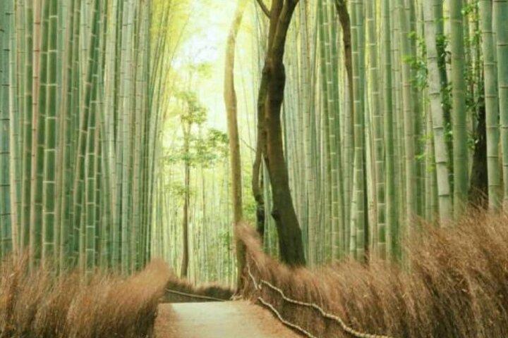 Tour privado de 7 dias em Tóquio, Japão