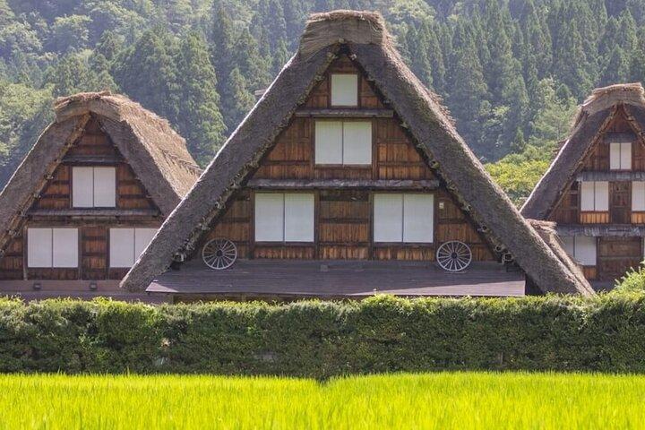 Tour privado de 7 dias em Tóquio, Japão
