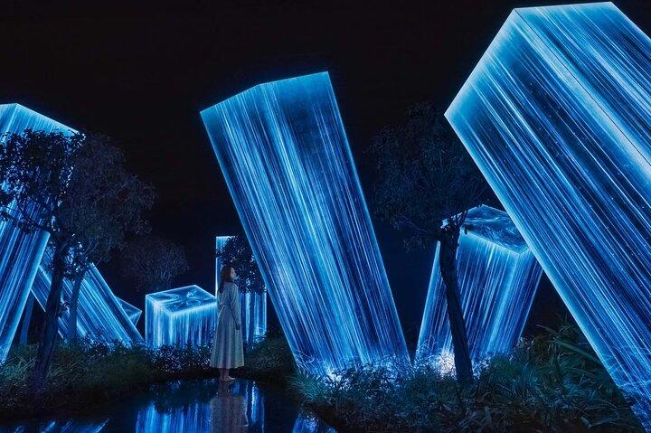 TeamLab Phenomena – Merveilles interactives de lumière, son et mouvement