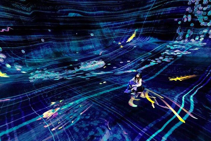 TeamLab Phenomena – Interactive Light, Sound & Motion Wonders