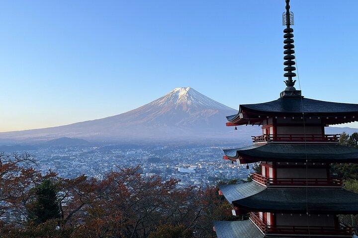 富士山と大石公園＆新倉山塔バスツアー（ランチ付き）