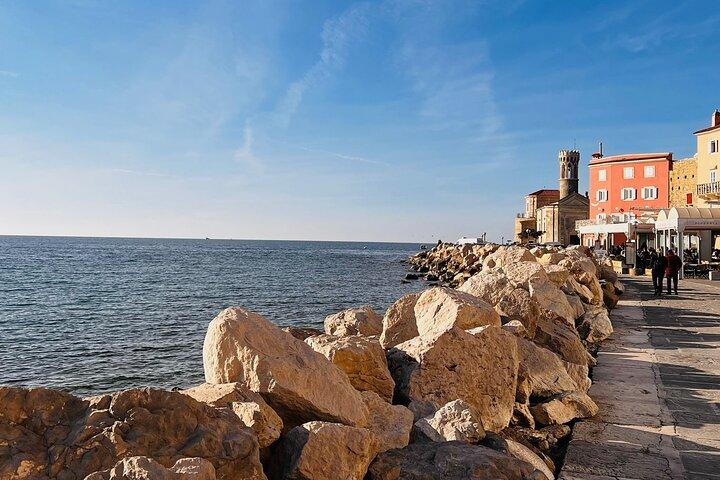 Slovenian Coast & Wine Private Tour med smagsprøver fra Ljubljana