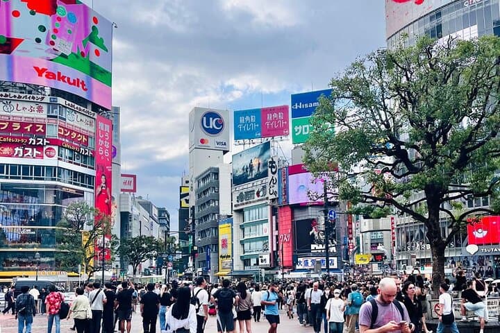 Best of Tokyo: Shinjuku and Shibuya Tour for First Time Visitors