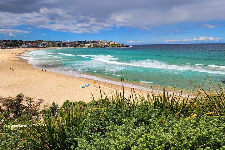 Visite privée des icônes de Sydney – Opera House, Bondi et plus