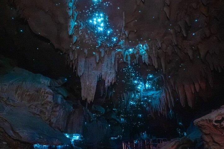 Waipu Milkyway Cave och East Coast Day Tour från Auckland