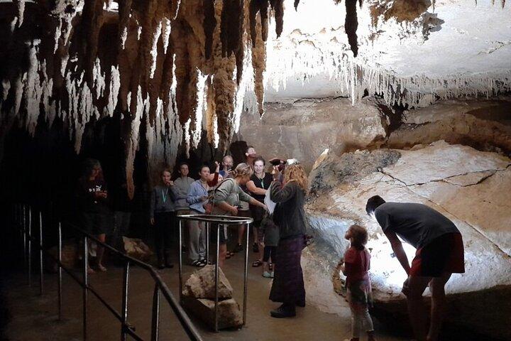 Waipu Milkyway Cave och East Coast Day Tour från Auckland