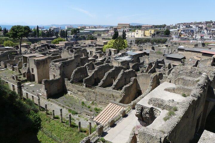 Rondleiding van Napels naar Pompeii en de Vesuvius: voorrangstour inclusief tickets