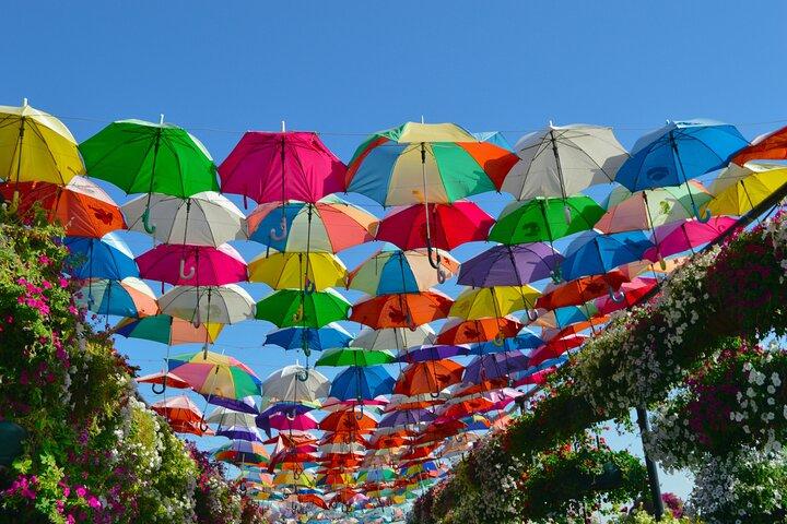 Miracle Garden e Global Village com transferências de Abu Dhabi