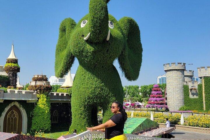 Miracle Garden e Global Village com transferências de Abu Dhabi