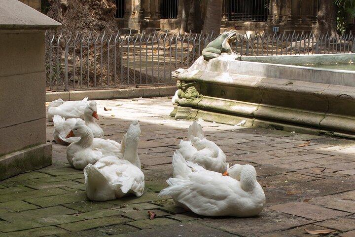 Biglietto d'ingresso alla Cattedrale di Barcellona