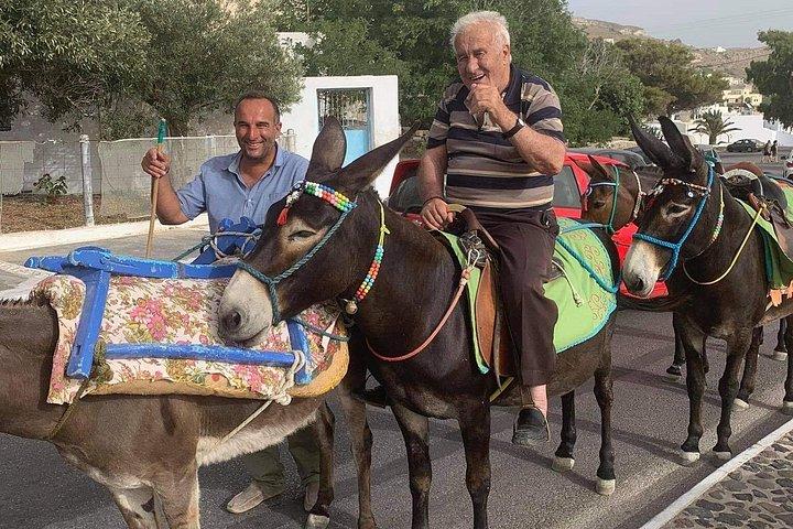 Authentic Pyrgos Village Donkey Ride and Feeding Experience