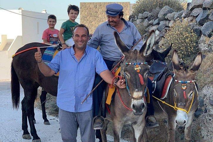 Authentic Pyrgos Village Donkey Ride and Feeding Experience