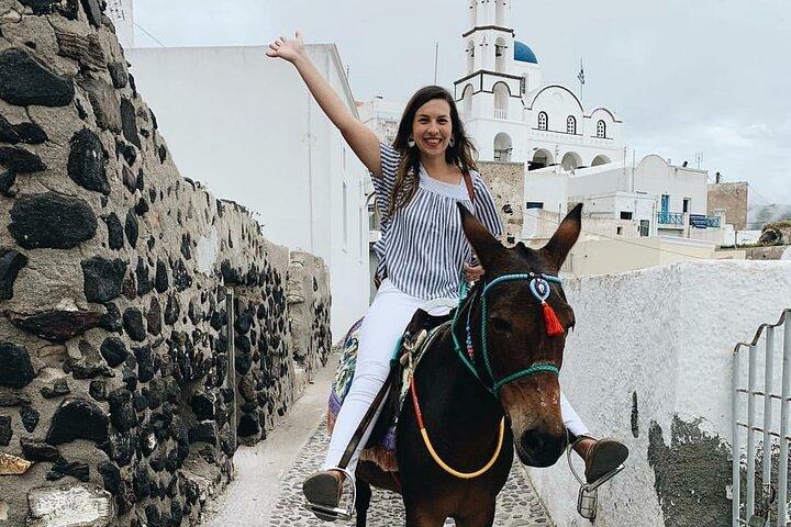 Auténtica experiencia de paseo en burro y alimentación en Pyrgos Village