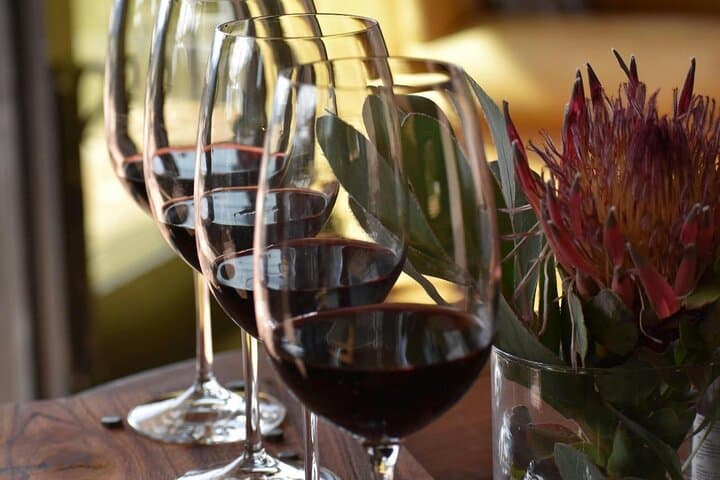 5 Day Cape Town, Winelands and Wildlife Tour