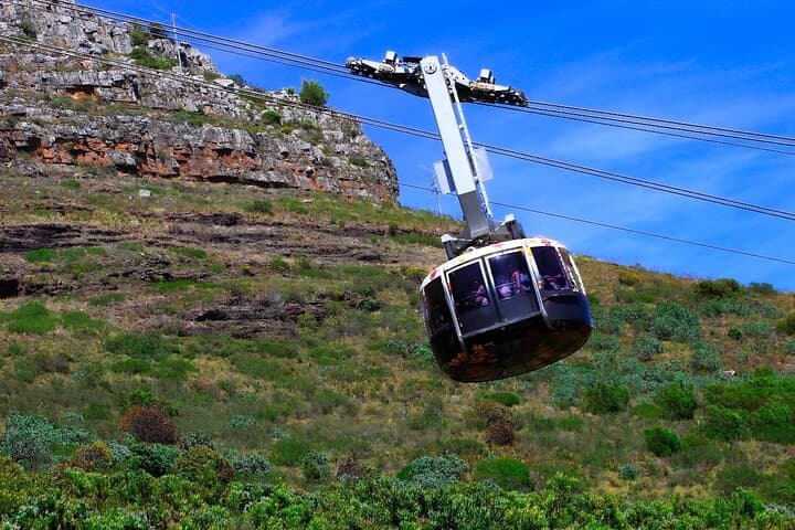 5 Day Cape Town, Winelands and Wildlife Tour