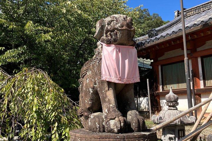 大阪発：国家資格ガイド付きプライベート奈良ツアー