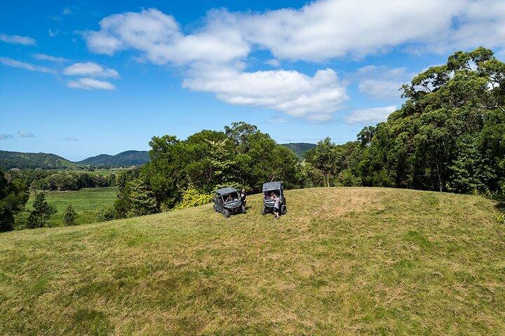 Excursão pelas águas de Daintree