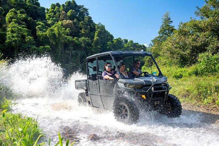 UTV 4wd Cassowary Falls and Daintree Rainforest Tour de aventura