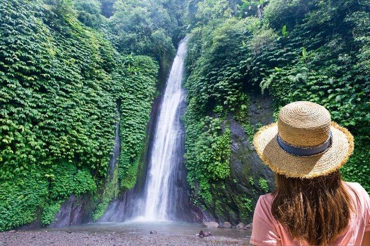 2 jours Bali Escape Menjangan Snorkeling et Bali Nord