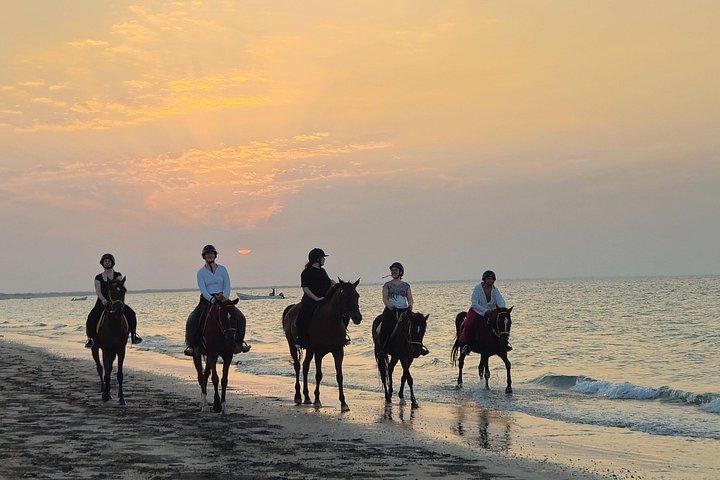 Private Horseback Riding in Muscat Beach