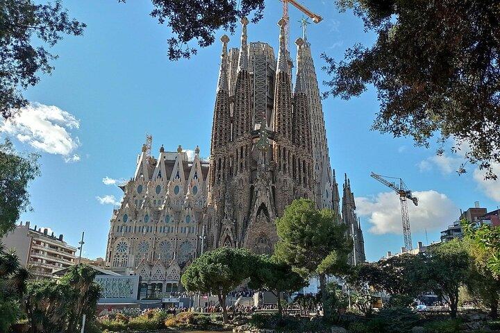 Sagrada Familia & Museo Visita Oficial