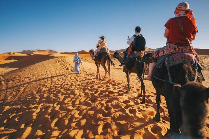 Sunset Camel Ride com Starry Desert Dinner e Fire Show