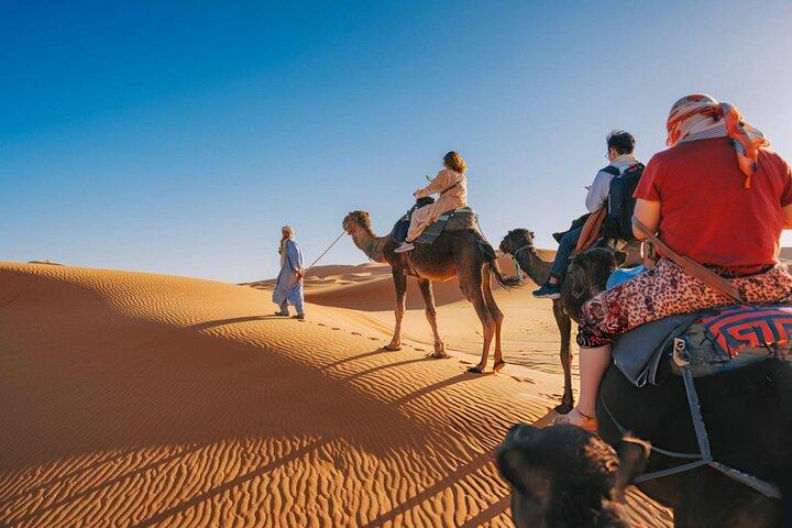 Sunset Camel Ride com Starry Desert Dinner e Fire Show