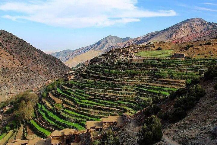 Hoteller i nærheden af Marrakech: Ourika Valley Day Trip Waterfalls & Lunch