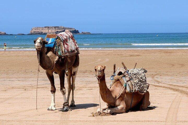 Essaouira Day Trip with Guided tour