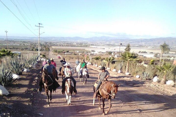 Aventure d'équitation Ensenada avec Guide local