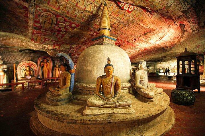 Sigiriya Rock Fortress och Dambulla Day Tour från Bentota
