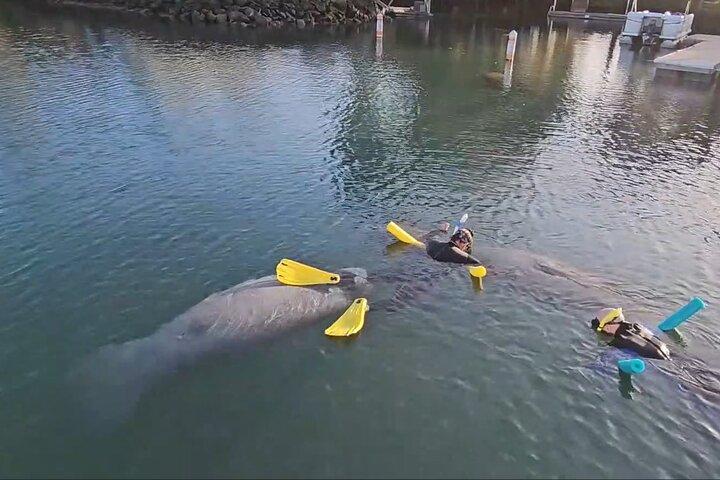 3 ore di barche riscaldate a nuoto in lamantino per piccoli gruppi