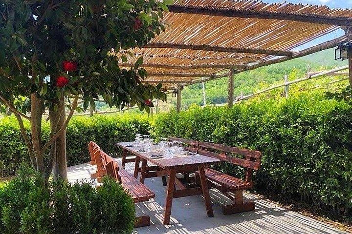Wine tasting on the hills of the Amalfi Coast