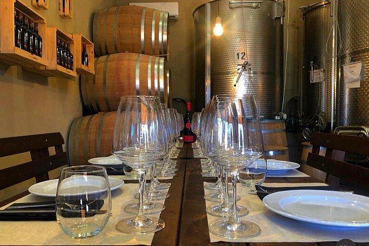 Wine tasting on the hills of the Amalfi Coast