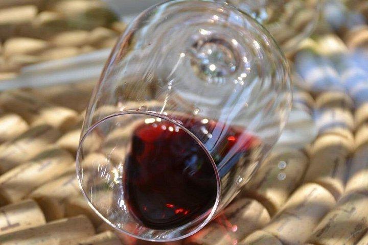 Wine tasting on the hills of the Amalfi Coast