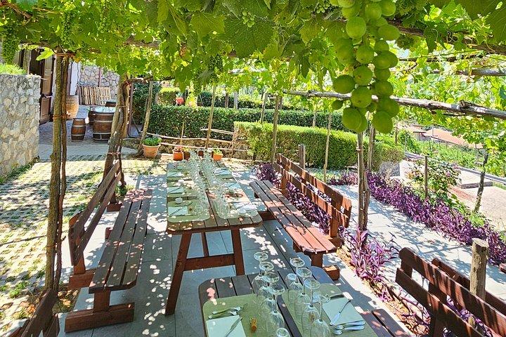 Wine tasting on the hills of the Amalfi Coast